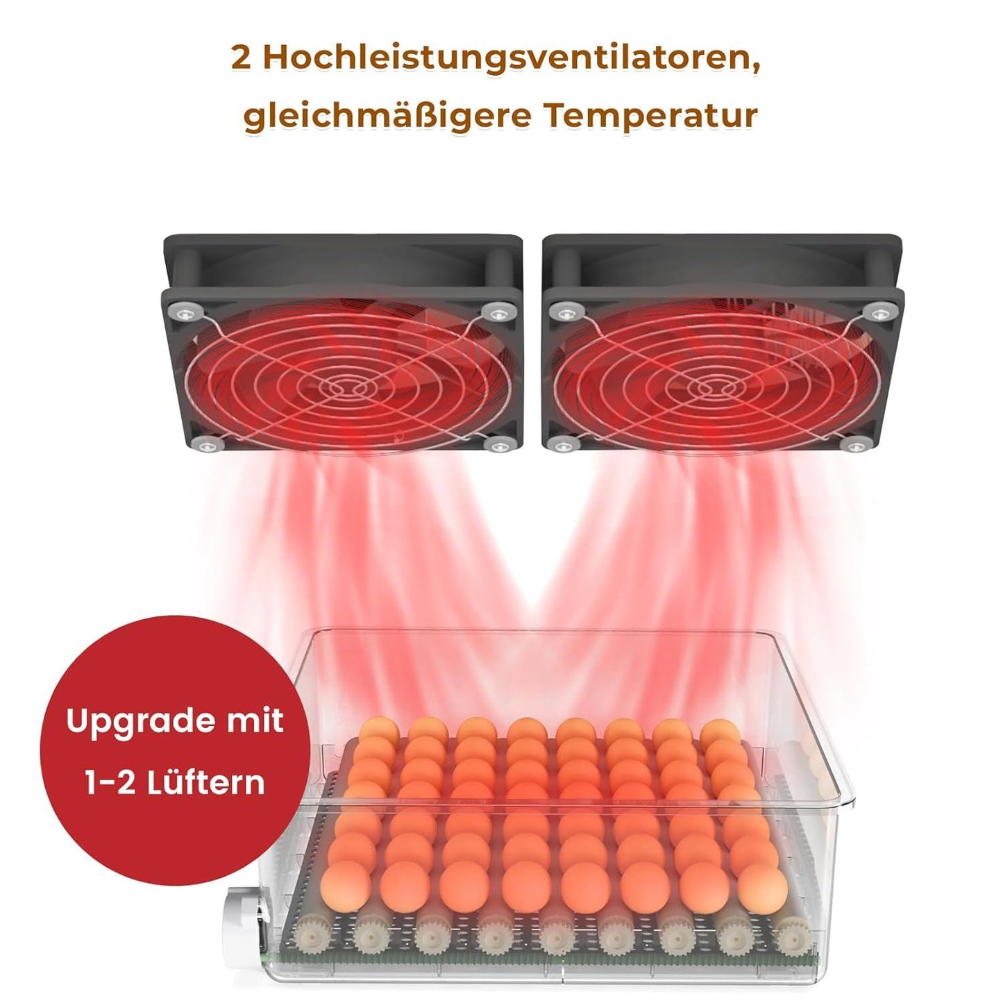 Incupro 56