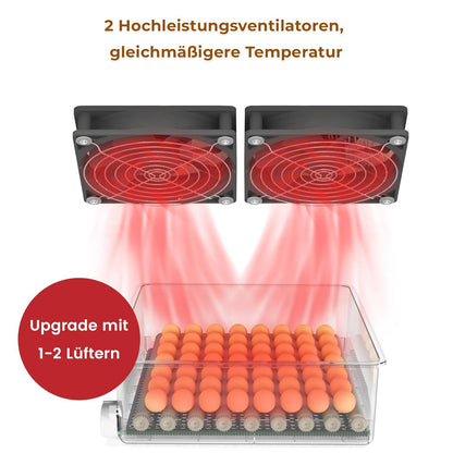 Incupro 56